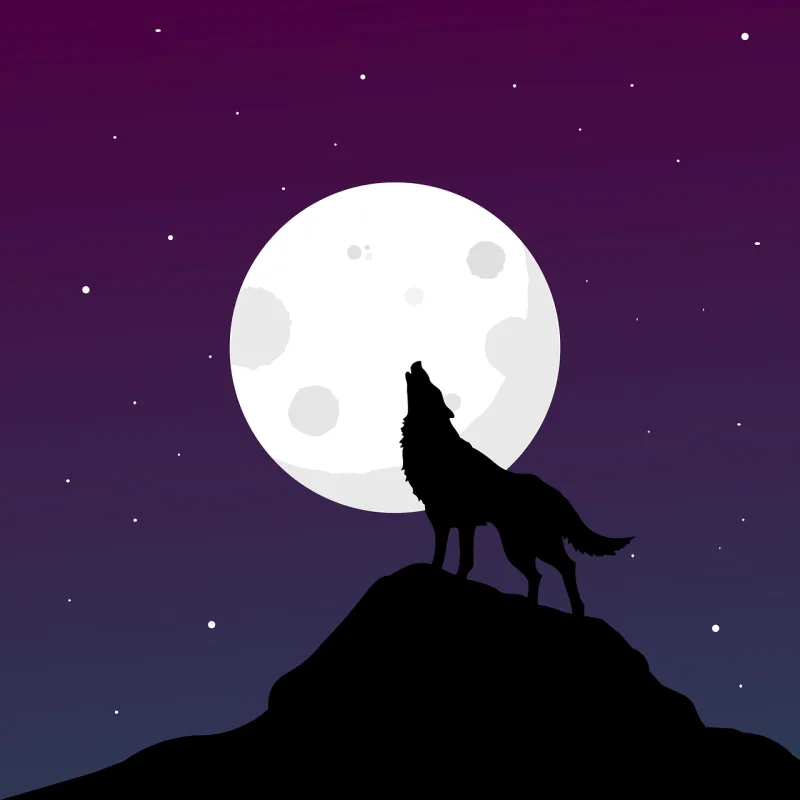 Wolf Nature Howl Stickdatei – Natur