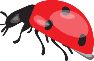 Ladybug Beetle Ladybird Stickdatei