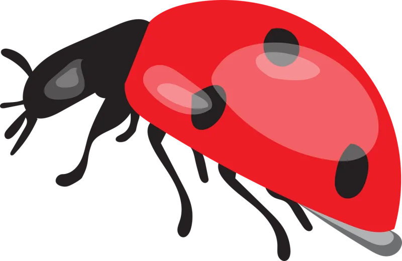 Ladybug Beetle Ladybird Stickdatei – Tiere