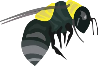 Bee Insect Bug Stickdatei