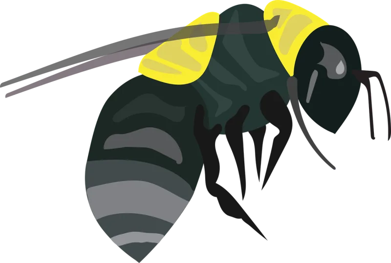 Bee Insect Bug Stickdatei – Tiere