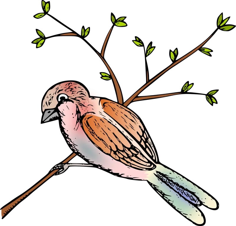 Sparrow Bird Perched Stickdatei – Natur