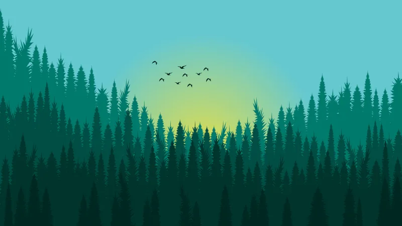 Forest Flying birds Beautiful wallpaper Stickdatei – Natur