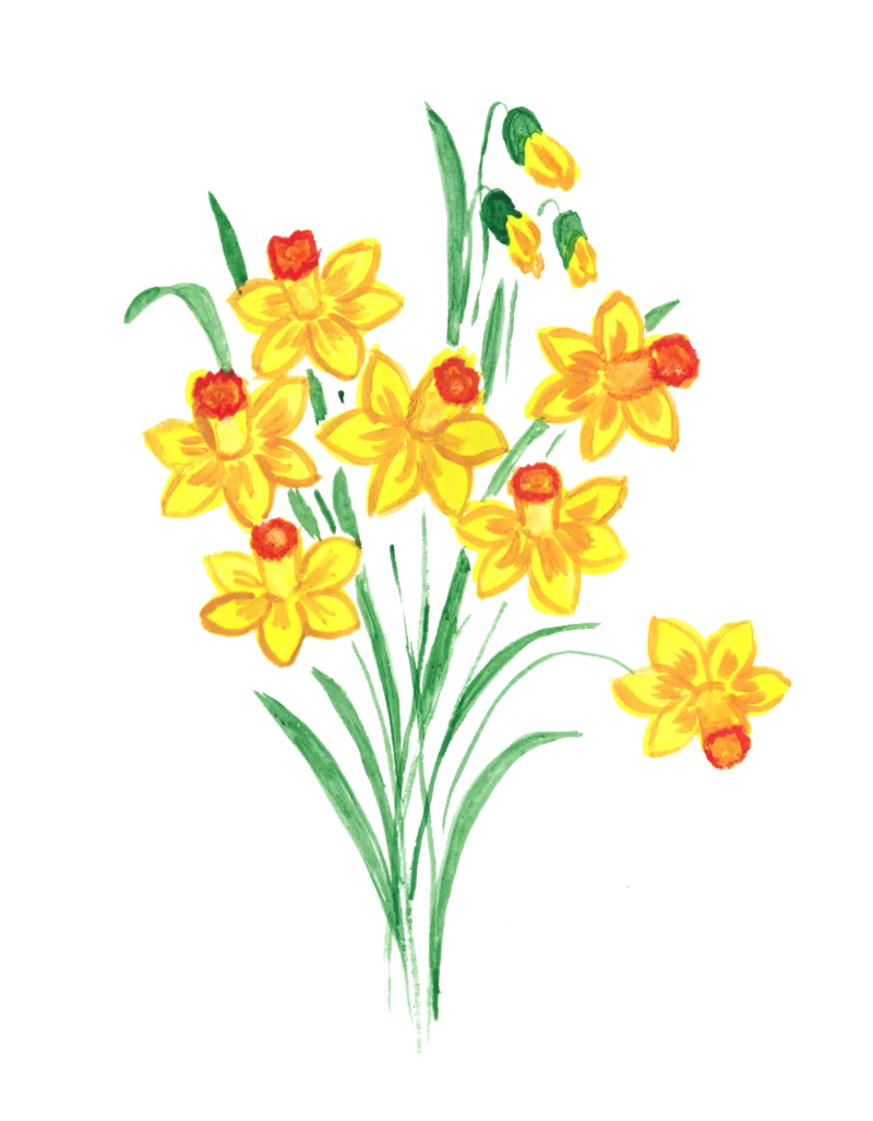 Narcissus Daffodils Spring Stickdatei – Blumen