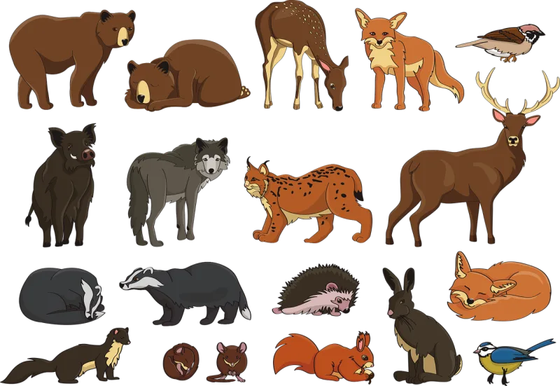 Animal Badger Bear Stickdatei – Tiere