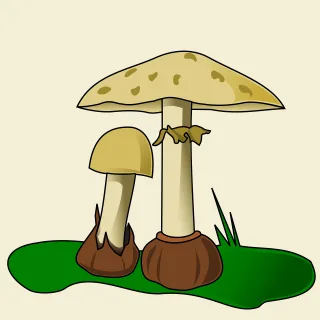 Mushrooms Fungi Fungus Stickdatei – Natur