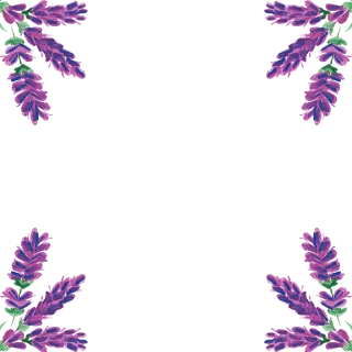 Lavender Border Watercolor Stickdatei