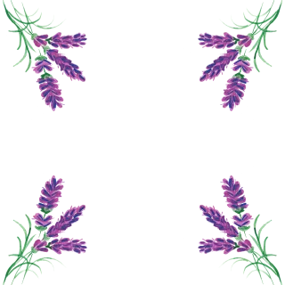 Lavender Border Watercolor Stickdatei