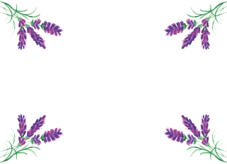 Lavender Border Beautiful flowers Stickdatei
