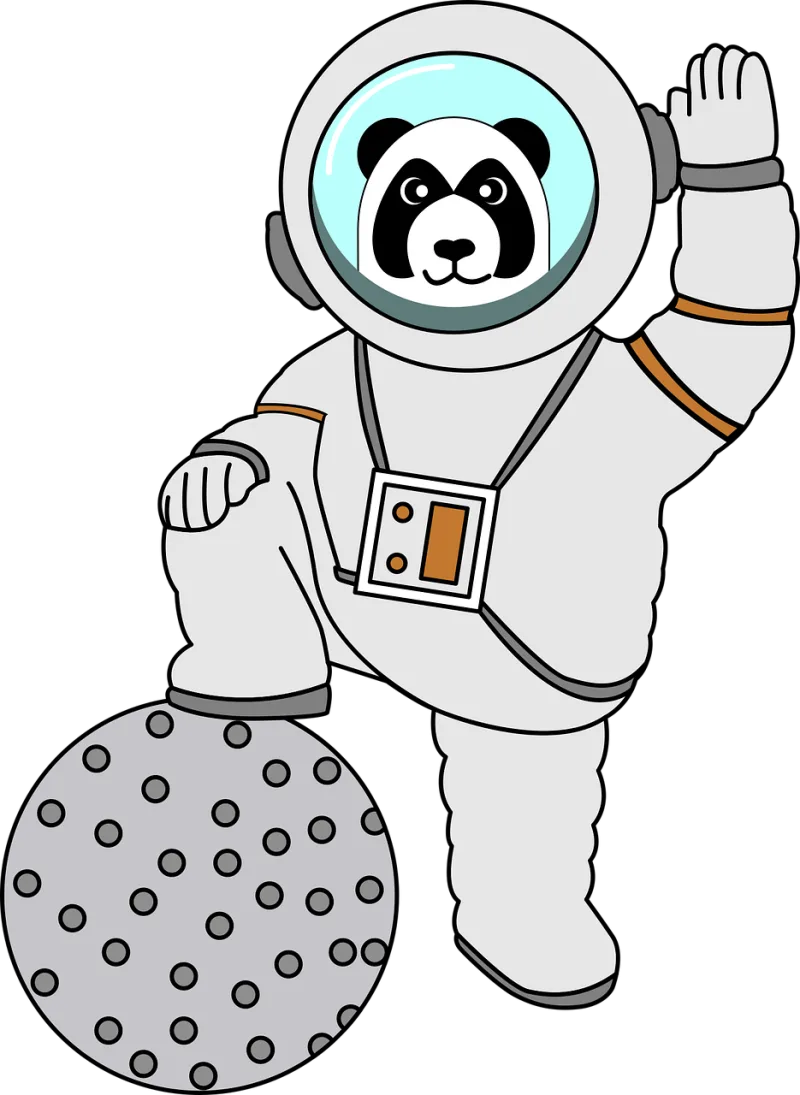 Panda Astronaut Astronaut suit Stickdatei – Tiere