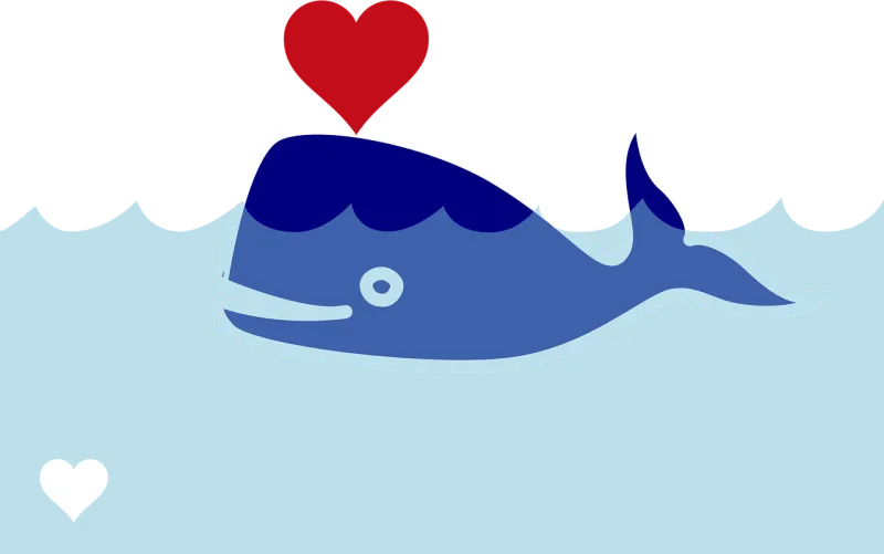 Whale Nature Sperm whale Stickdatei – Herzen & Liebe