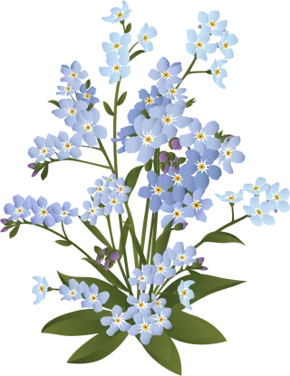 Forget-me-not Flowers Plant Stickdatei