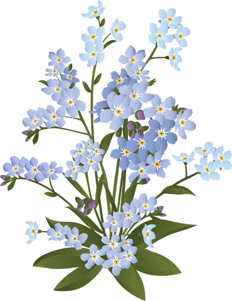 Forget-me-not Flowers Plant Stickdatei – Blumen