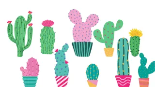 Cactus Nature Cacti Stickdatei