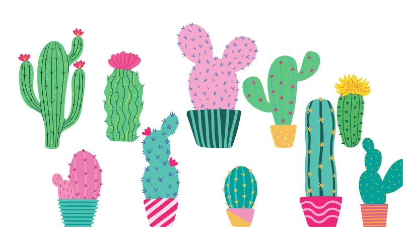 Cactus Nature Cacti Stickdatei – Natur