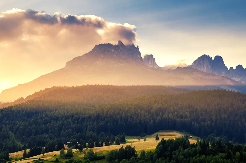 Trees Mountains Sunrise Stickdatei – Natur