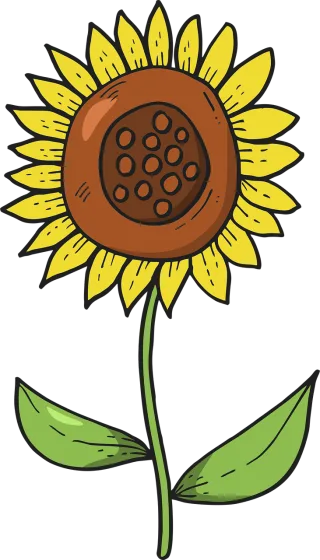 Flower Sunflower Flora Stickdatei
