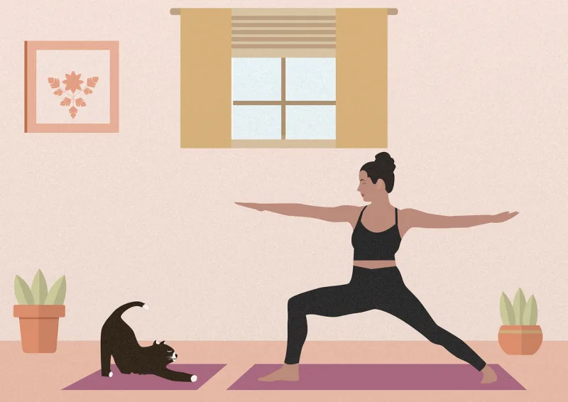 Yoga Cat Animal Stickdatei – Sport