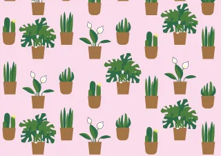 Home plants Flowers Houseplants Stickdatei