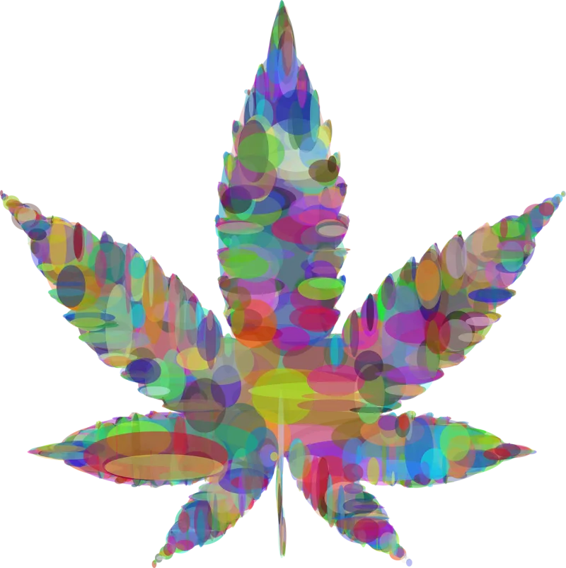 Leaf Ellipses Weed Stickdatei – Kinder