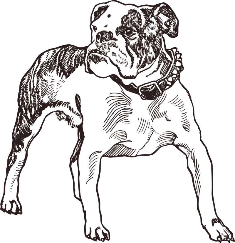 Bulldog Dog Line art Stickdatei – Tiere