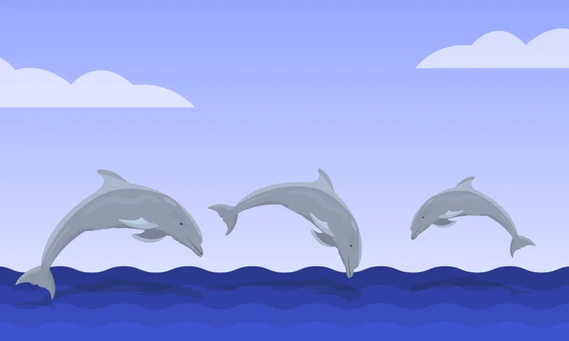 Dolphins Sea Ocean Stickdatei – Tiere