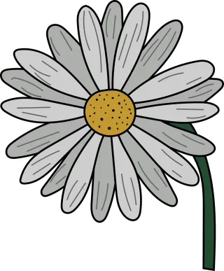 Chamomile Sunflower Bloom Stickdatei
