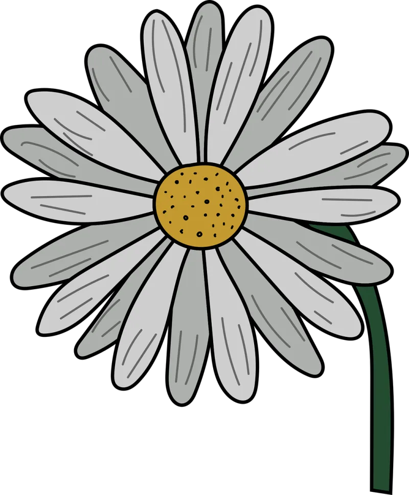 Chamomile Sunflower Bloom Stickdatei – Blumen