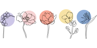 Flowers Petals Plants Stickdatei