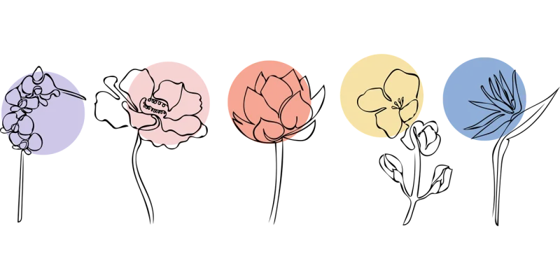 Flowers Petals Plants Stickdatei – Blumen