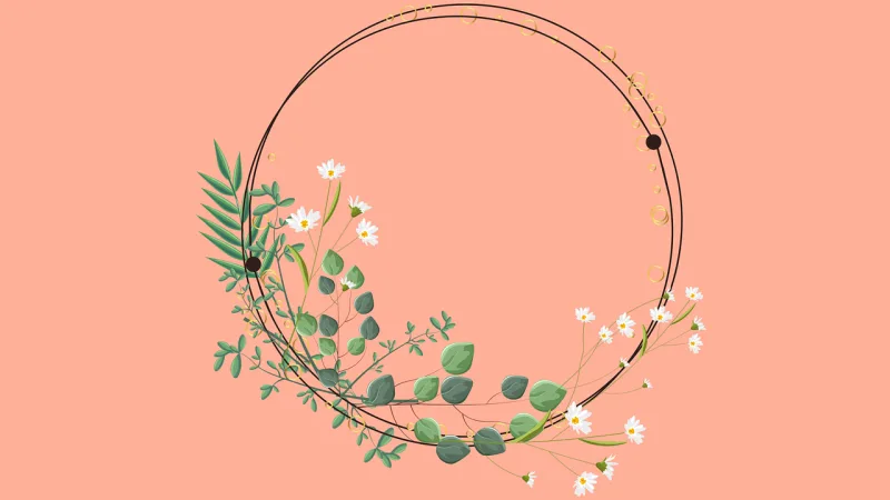Background Flower Frame Stickdatei – Weihnachten