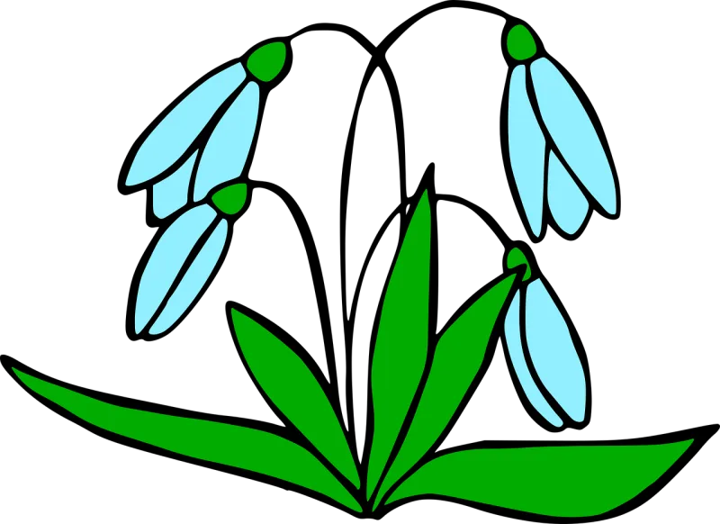 Flowers Snowdrops Plant Stickdatei – Blumen