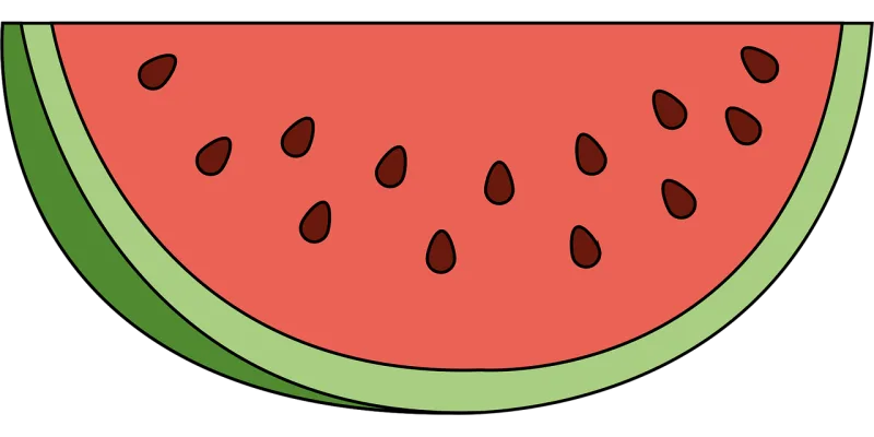 Watermelon Vitamins Fruit Stickdatei – Essen & Trinken