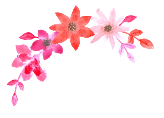 Flowers Watercolor Hand drawing Stickdatei