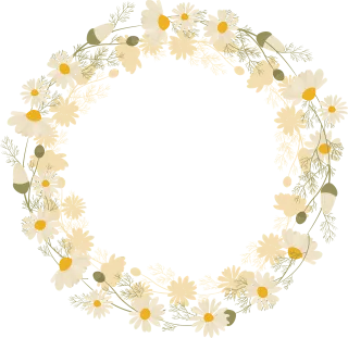 Flowers Petals Leaves Stickdatei – Weihnachten