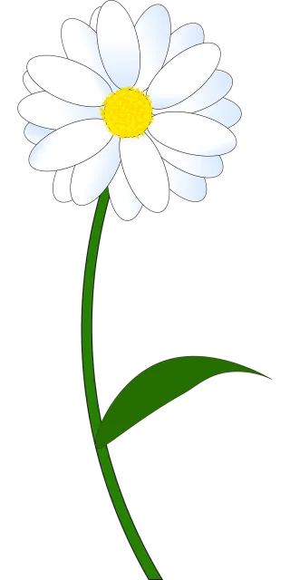 Daisy Flower White Stickdatei