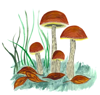 Mushroom Mushrooms Forest Stickdatei