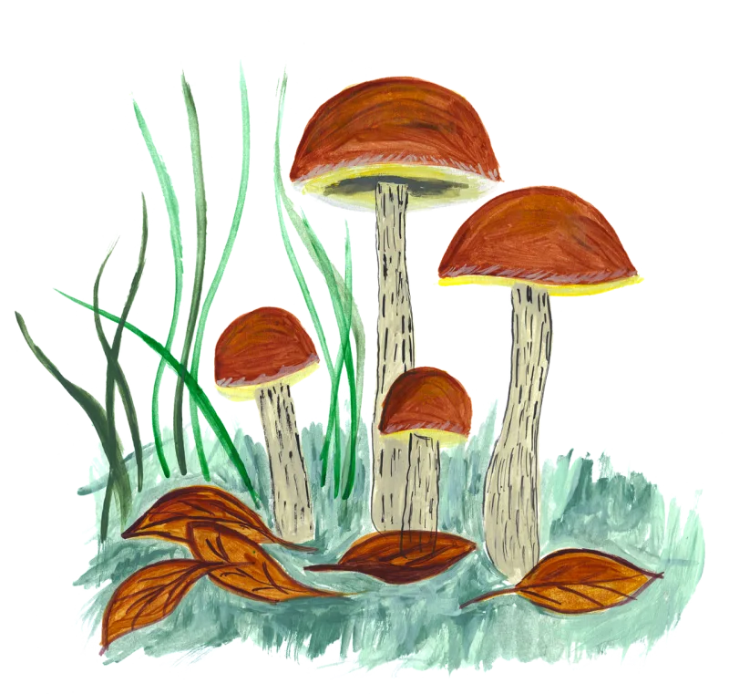 Mushroom Mushrooms Forest Stickdatei – Natur