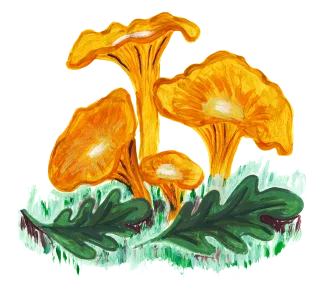 Mushroom Mushrooms Forest Stickdatei