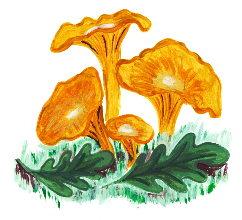 Mushroom Mushrooms Forest Stickdatei – Natur
