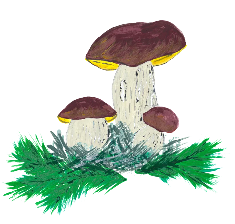 Mushroom Mushrooms Watercolor Stickdatei – Natur