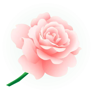 Rose Flower Flowers Stickdatei