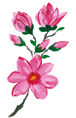 Magnolia Spring Spring flower Stickdatei