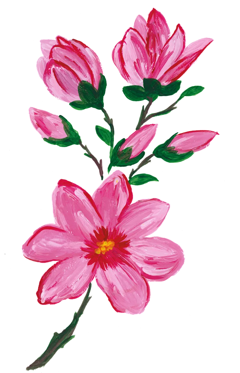 Magnolia Spring Spring flower Stickdatei – Blumen