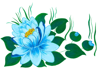 Waterlily Water lilies Water flower Stickdatei