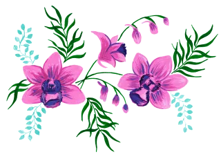 Orchid Orchid flower Watercolor Stickdatei