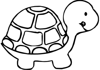 Vector turtle Coloring turtles Turtle coloring Stickdatei – Tiere