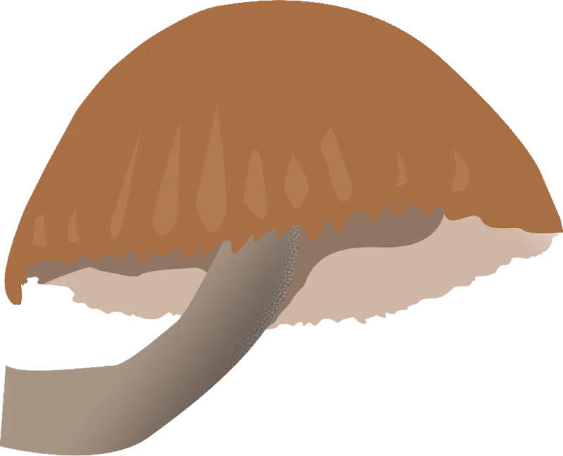 Mushroom Trunk Nature Stickdatei – Natur
