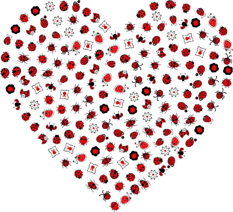 Ladybugs Ladybirds Heart Stickdatei – Tiere