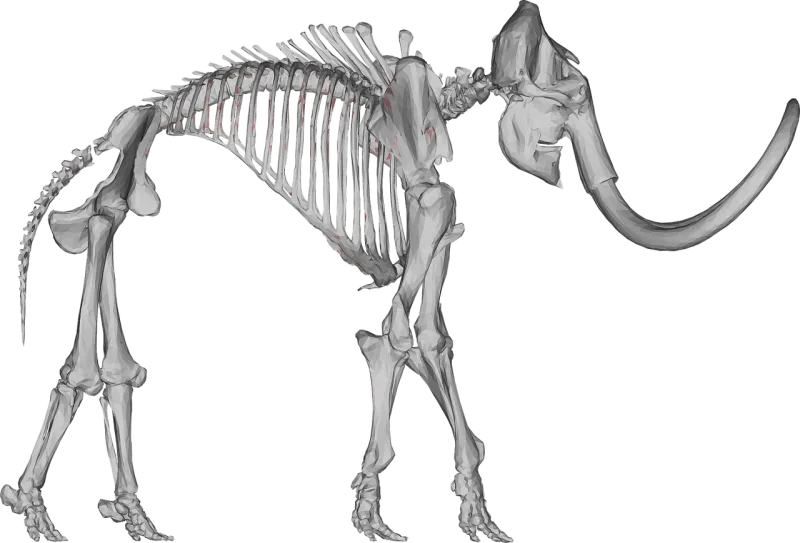 Woolly mammoth Animal 3d Stickdatei – Tiere